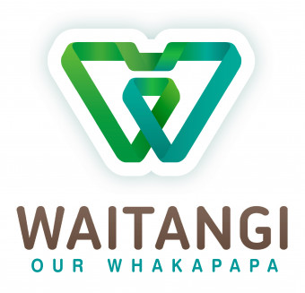 waitangi-our-whakapapa-logo
