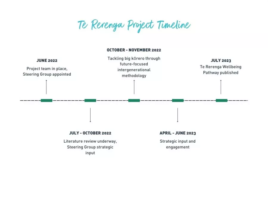 Te Rerenga Project Timeline