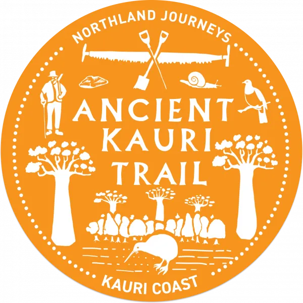 Ancient Kauri Trail