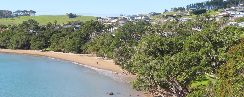 Why you need to visit Doubtless Bay